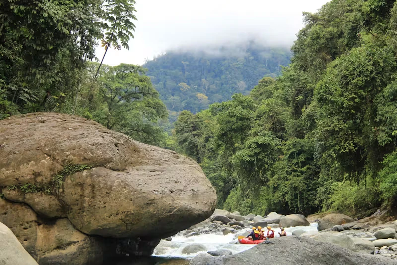 Discover the Beauty of Manuel Antonio National Park with H2O ADVENTURES Sightseeing Tours